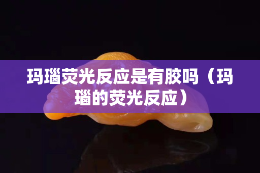 玛瑙荧光反应是有胶吗（玛瑙的荧光反应）