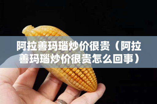 阿拉善玛瑙炒价很贵（阿拉善玛瑙炒价很贵怎么回事）