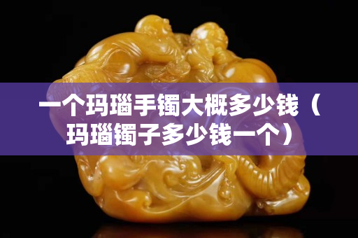 一个玛瑙手镯大概多少钱（玛瑙镯子多少钱一个）
