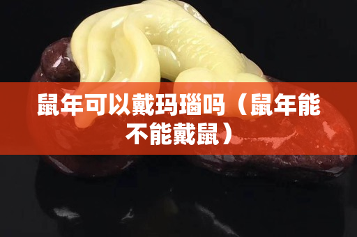 鼠年可以戴玛瑙吗（鼠年能不能戴鼠）