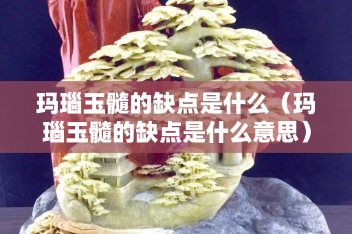 玛瑙玉髓的缺点是什么（玛瑙玉髓的缺点是什么意思）