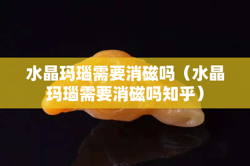 水晶玛瑙需要消磁吗（水晶玛瑙需要消磁吗知乎）