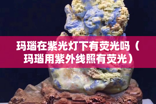 玛瑙在紫光灯下有荧光吗（玛瑙用紫外线照有荧光）