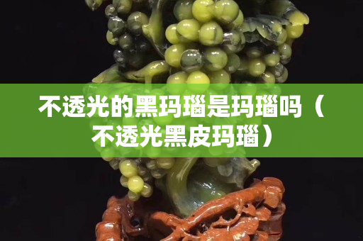 不透光的黑玛瑙是玛瑙吗（不透光黑皮玛瑙）