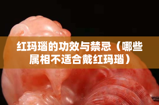 红玛瑙的功效与禁忌（哪些属相不适合戴红玛瑙）