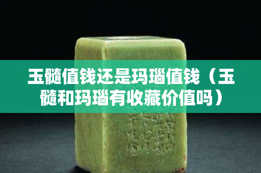 玉髓值钱还是玛瑙值钱（玉髓和玛瑙有收藏价值吗）