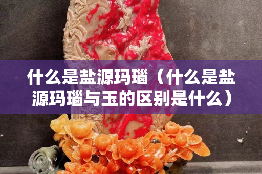 什么是盐源玛瑙（什么是盐源玛瑙与玉的区别是什么）