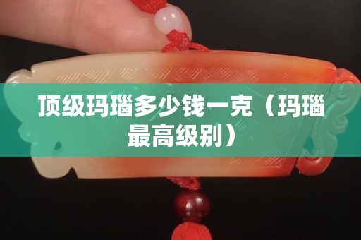 顶级玛瑙多少钱一克（玛瑙最高级别）