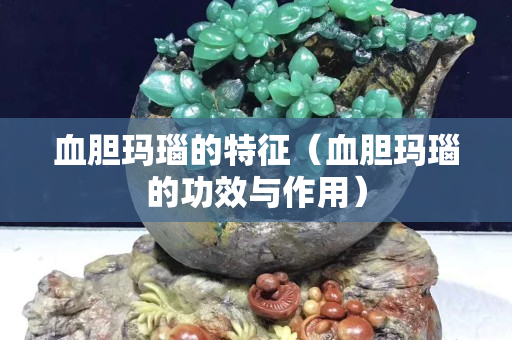 血胆玛瑙的特征（血胆玛瑙的功效与作用）