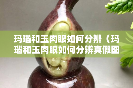 玛瑙和玉肉眼如何分辨（玛瑙和玉肉眼如何分辨真假图片）