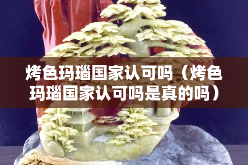 烤色玛瑙国家认可吗（烤色玛瑙国家认可吗是真的吗）