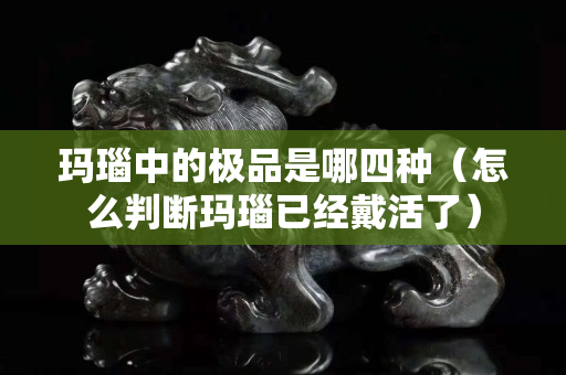 玛瑙中的极品是哪四种（怎么判断玛瑙已经戴活了）