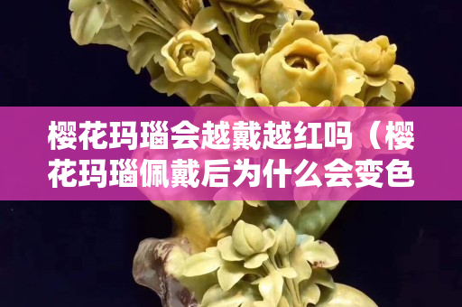 樱花玛瑙会越戴越红吗（樱花玛瑙佩戴后为什么会变色）