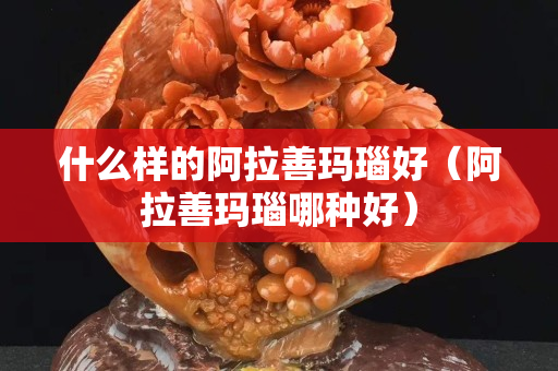 什么样的阿拉善玛瑙好（阿拉善玛瑙哪种好）