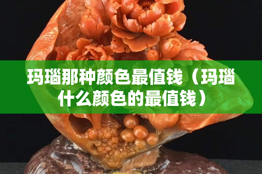 玛瑙那种颜色最值钱（玛瑙什么颜色的最值钱）