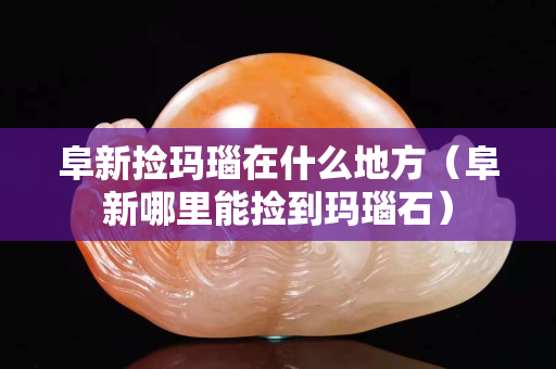 阜新捡玛瑙在什么地方（阜新哪里能捡到玛瑙石）
