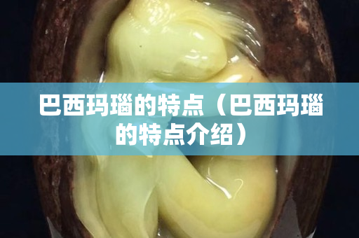 巴西玛瑙的特点（巴西玛瑙的特点介绍）