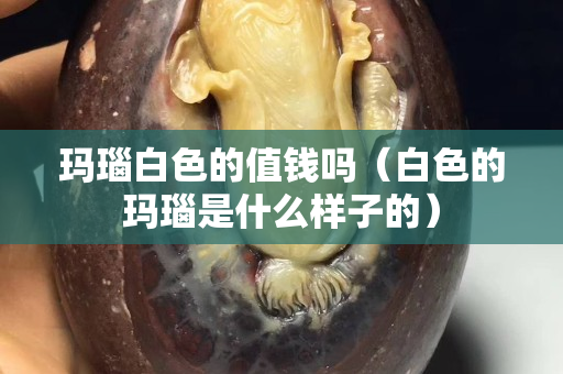 玛瑙白色的值钱吗（白色的玛瑙是什么样子的）