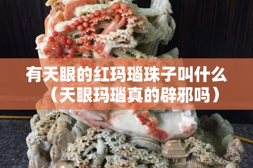 有天眼的红玛瑙珠子叫什么（天眼玛瑙真的辟邪吗）