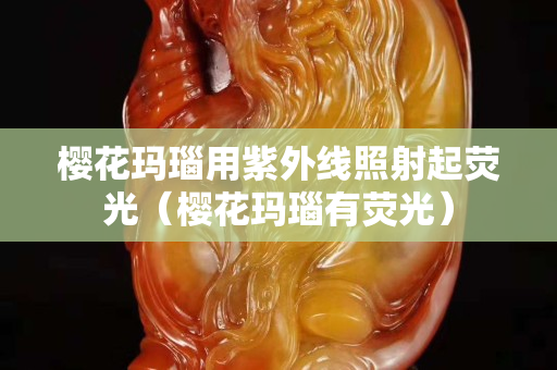 樱花玛瑙用紫外线照射起荧光（樱花玛瑙有荧光）