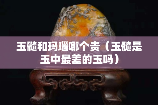 玉髓和玛瑙哪个贵（玉髓是玉中最差的玉吗）