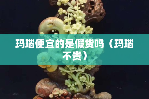 玛瑙便宜的是假货吗（玛瑙不贵）