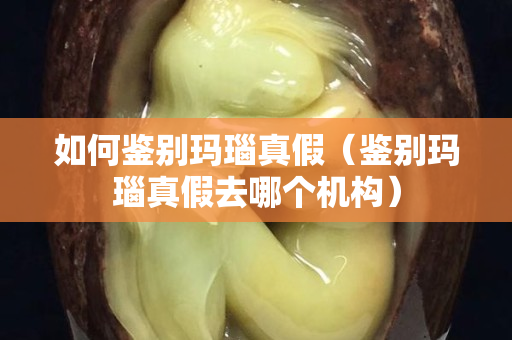 如何鉴别玛瑙真假（鉴别玛瑙真假去哪个机构）