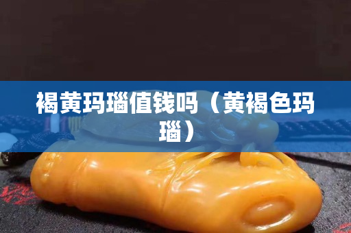 褐黄玛瑙值钱吗（黄褐色玛瑙）
