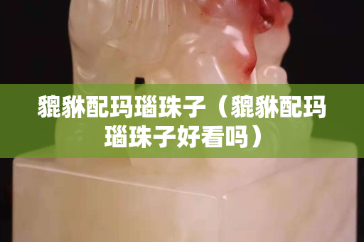 貔貅配玛瑙珠子（貔貅配玛瑙珠子好看吗）