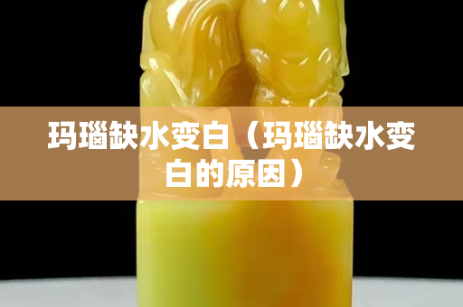 玛瑙缺水变白（玛瑙缺水变白的原因）