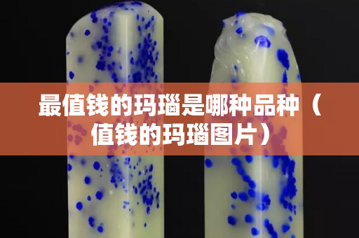 最值钱的玛瑙是哪种品种（值钱的玛瑙图片）