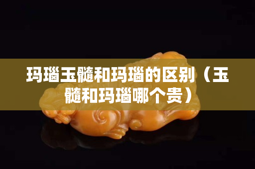 玛瑙玉髓和玛瑙的区别（玉髓和玛瑙哪个贵）