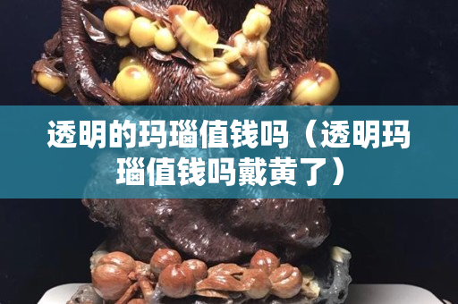 透明的玛瑙值钱吗（透明玛瑙值钱吗戴黄了）