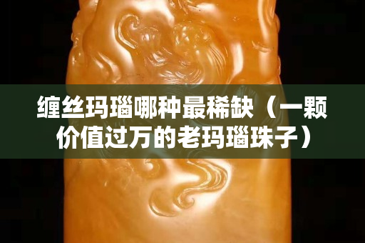 缠丝玛瑙哪种最稀缺（一颗价值过万的老玛瑙珠子）