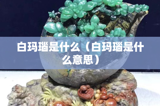 白玛瑙是什么（白玛瑙是什么意思）