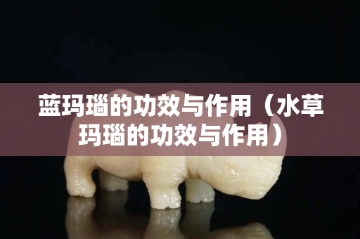 蓝玛瑙的功效与作用（水草玛瑙的功效与作用）