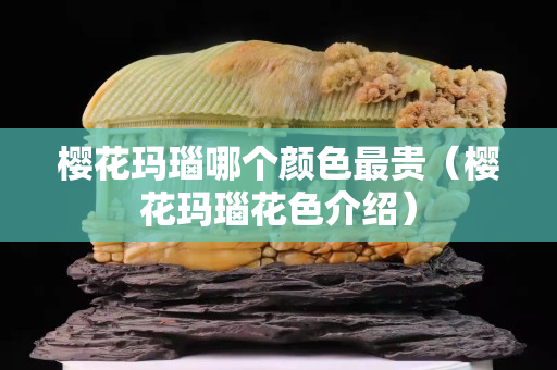 樱花玛瑙哪个颜色最贵（樱花玛瑙花色介绍）