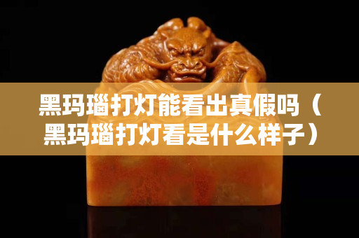 黑玛瑙打灯能看出真假吗（黑玛瑙打灯看是什么样子）