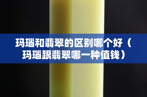 玛瑙和翡翠的区别哪个好（玛瑙跟翡翠哪一种值钱）