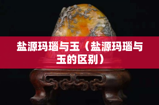 盐源玛瑙与玉（盐源玛瑙与玉的区别）