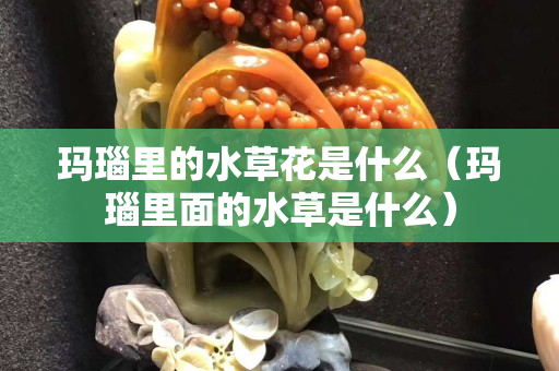 玛瑙里的水草花是什么（玛瑙里面的水草是什么）