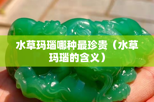 水草玛瑙哪种最珍贵（水草玛瑙的含义）