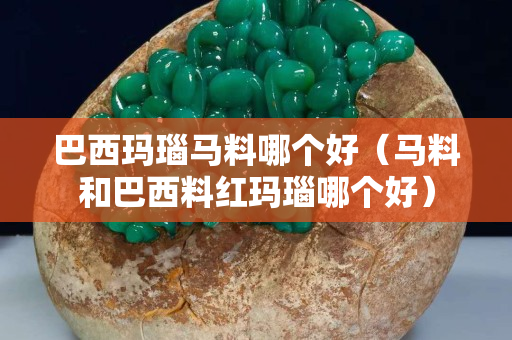 巴西玛瑙马料哪个好（马料和巴西料红玛瑙哪个好）