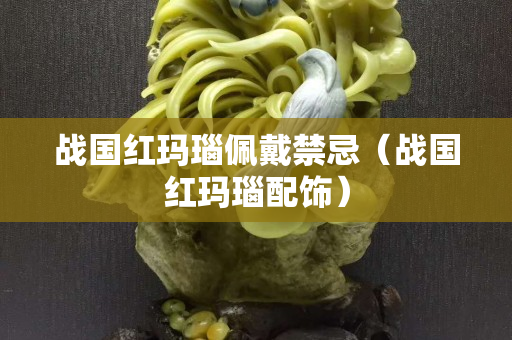 战国红玛瑙佩戴禁忌（战国红玛瑙配饰）
