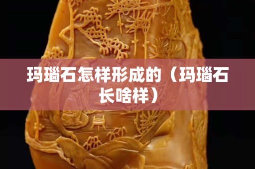 玛瑙石怎样形成的（玛瑙石长啥样）