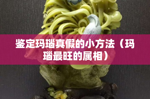 鉴定玛瑙真假的小方法（玛瑙最旺的属相）