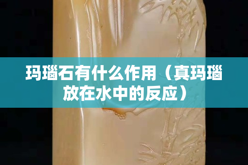玛瑙石有什么作用（真玛瑙放在水中的反应）
