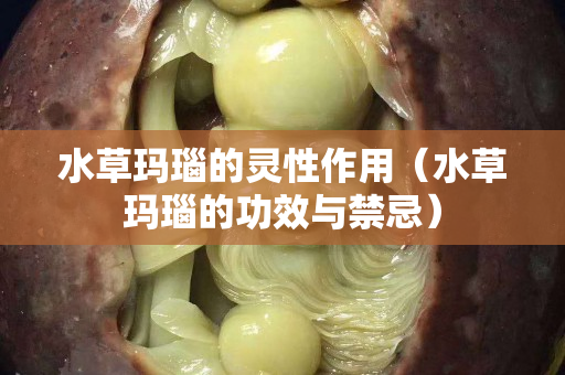 水草玛瑙的灵性作用（水草玛瑙的功效与禁忌）