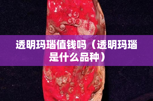 透明玛瑙值钱吗（透明玛瑙是什么品种）