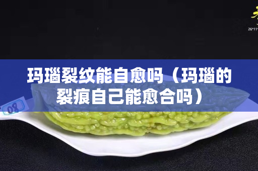 玛瑙裂纹能自愈吗（玛瑙的裂痕自己能愈合吗）